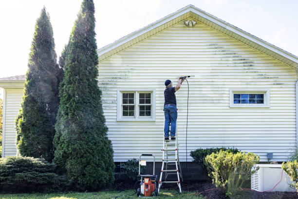 Best Pressure Washing Services Near Me  in Ridgewood, IL