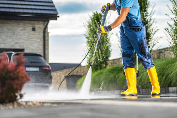 Best Pressure Washing Driveway  in Ridgewood, IL