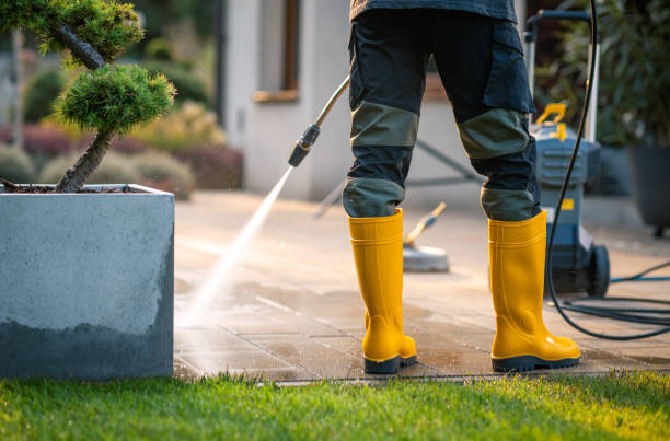 Best Pressure Washing Near Me  in Ridgewood, IL
